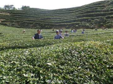 16139772493131605.jpg 345047faa3a8102da94771ee66a10057.jpeg